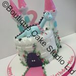 Castle Cake with friendly Dragon Cake