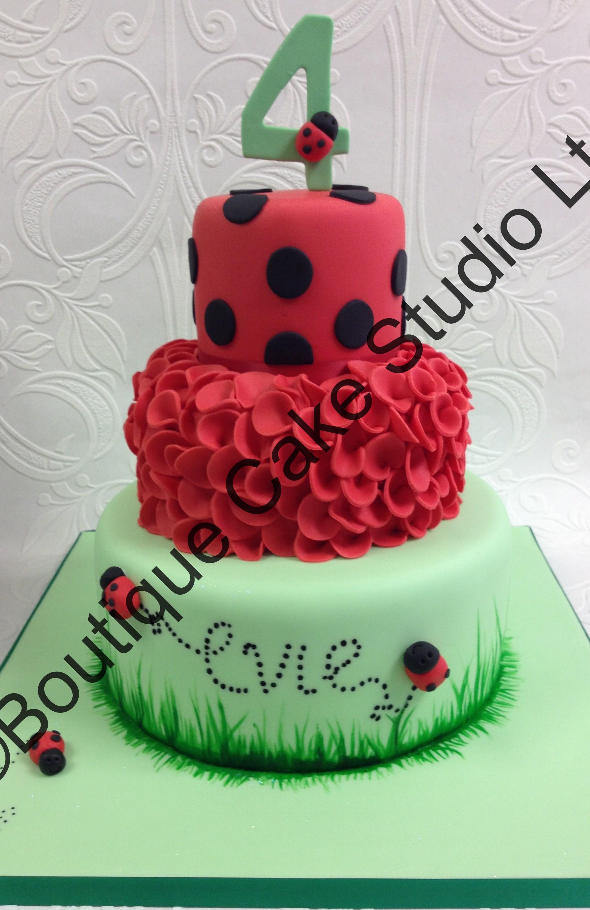 Ladybird themed cake