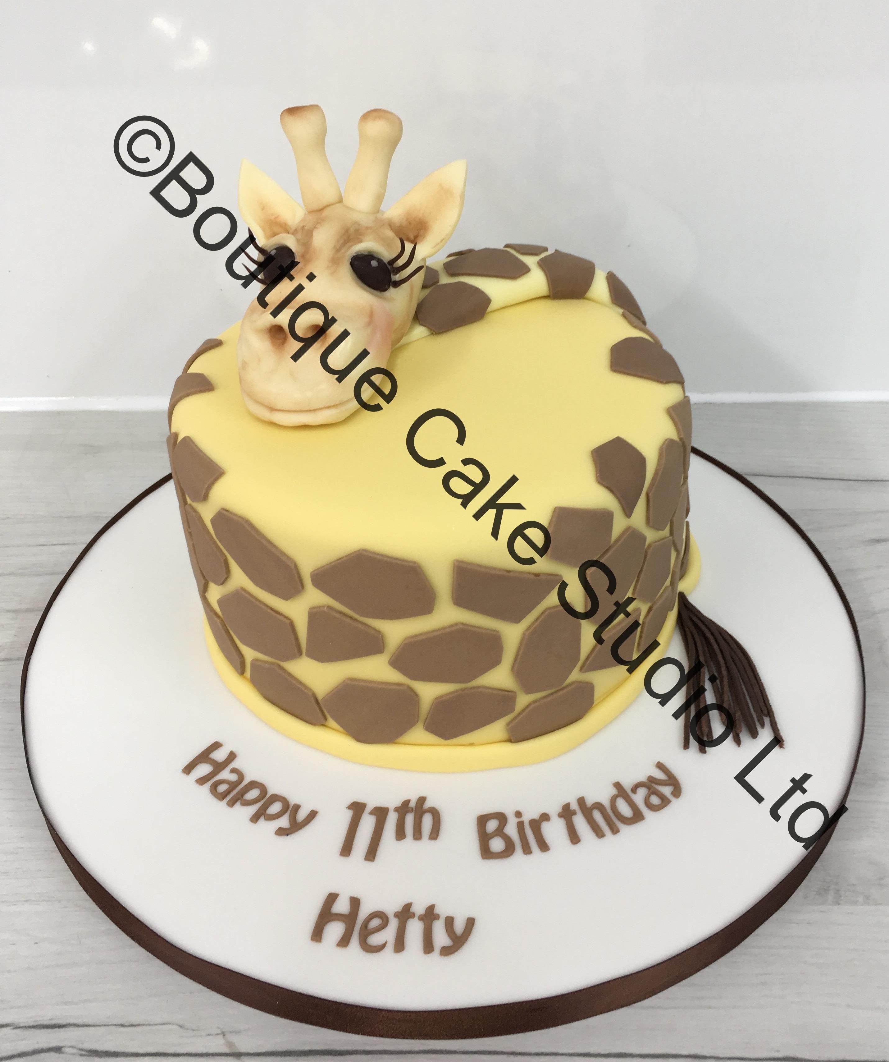 Gemma the Giraffe Cake