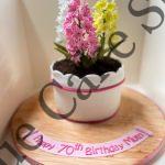 Potted Plant Cake
